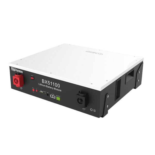 Dyness 51.2V 100Ah LiFePO4 Battery
